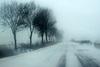 dsc05668.jpg