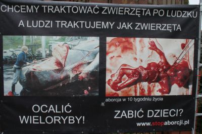 1108_aborcja.jpg