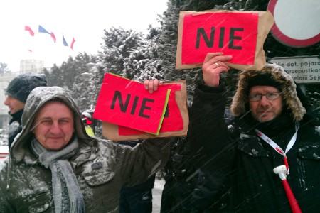 0215_pikieta2.jpg