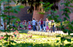 0509_fosa.jpg