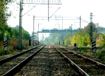 0606_tory_czerna.jpg