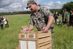 0719_zajace.jpg