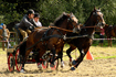 0915_wyszanow.jpg