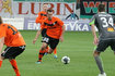 1006_wilczek.jpg