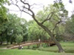 1009_park.jpg