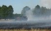 0416_trawy.jpg