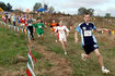 0420_cross.jpg
