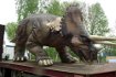 0507_dino_2.jpg