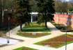 0516_fosa.jpg