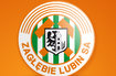 0630_zl_sa.jpg