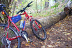 dscn3807.jpg