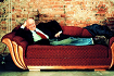 kaluzynski_141127_thumb.png