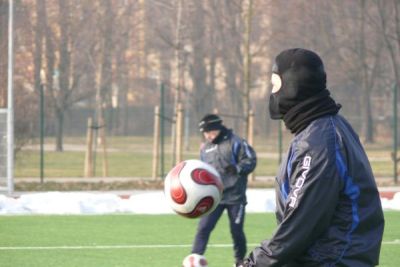 miedz2012.jpg