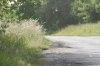 thumb_0723_drogi_z_trawa_3.jpg