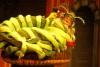 thumb_0908_opera_alicja.jpg