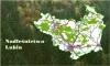 thumb_0916_nadle_lubin.jpg