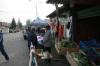 thumb_1117_bazarek_polne.jpg