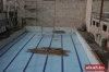 thumb_1126_basen.jpg