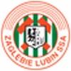 zaglebie_m.jpg