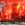 Zdj�cia czytelnik�w do artyku�u