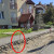 Zdj�cia czytelnik�w do artyku�u